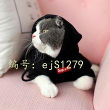 벻