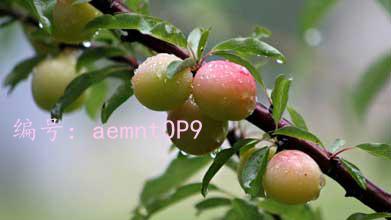 ĺ֮