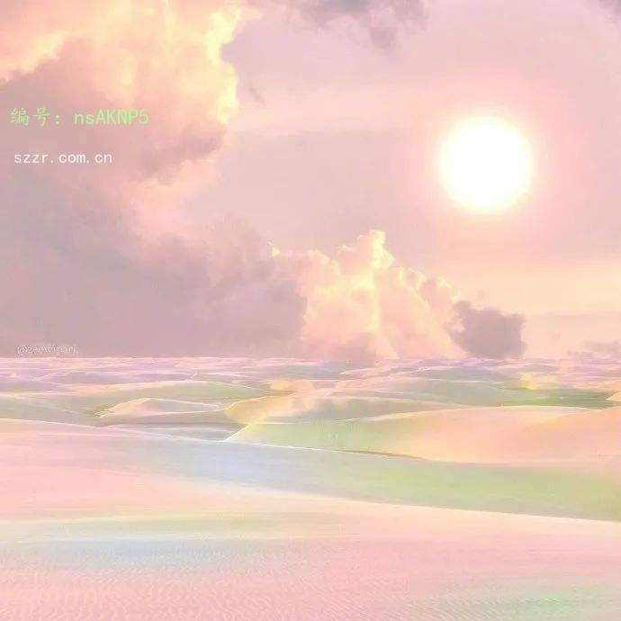 ˫