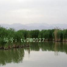 ĺ֮